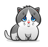 Sad Kitten Royalty Free Stock Image