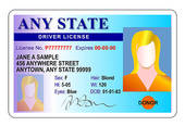 Vehicle Must First Complete The Drivers  License Verification Form