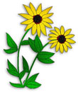 Yellow Carnation Clip Art Yellow Daisy Black Eyed Susan