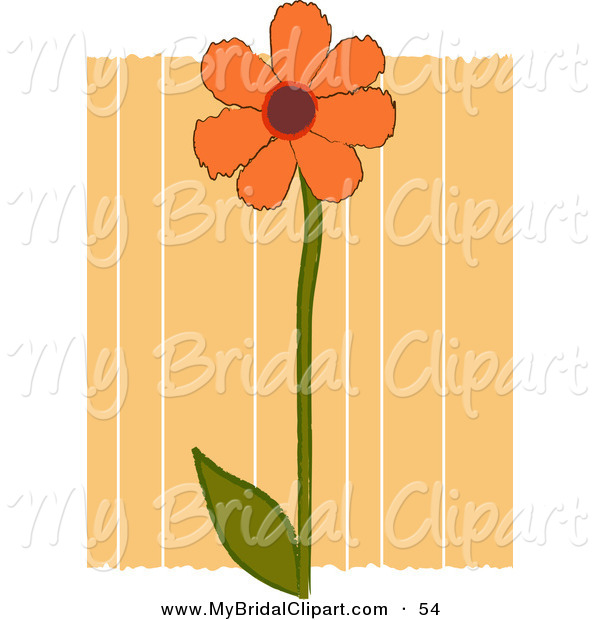 Bridal Clipart Of An Orange Daisy Flower Over Orange Stripes With    