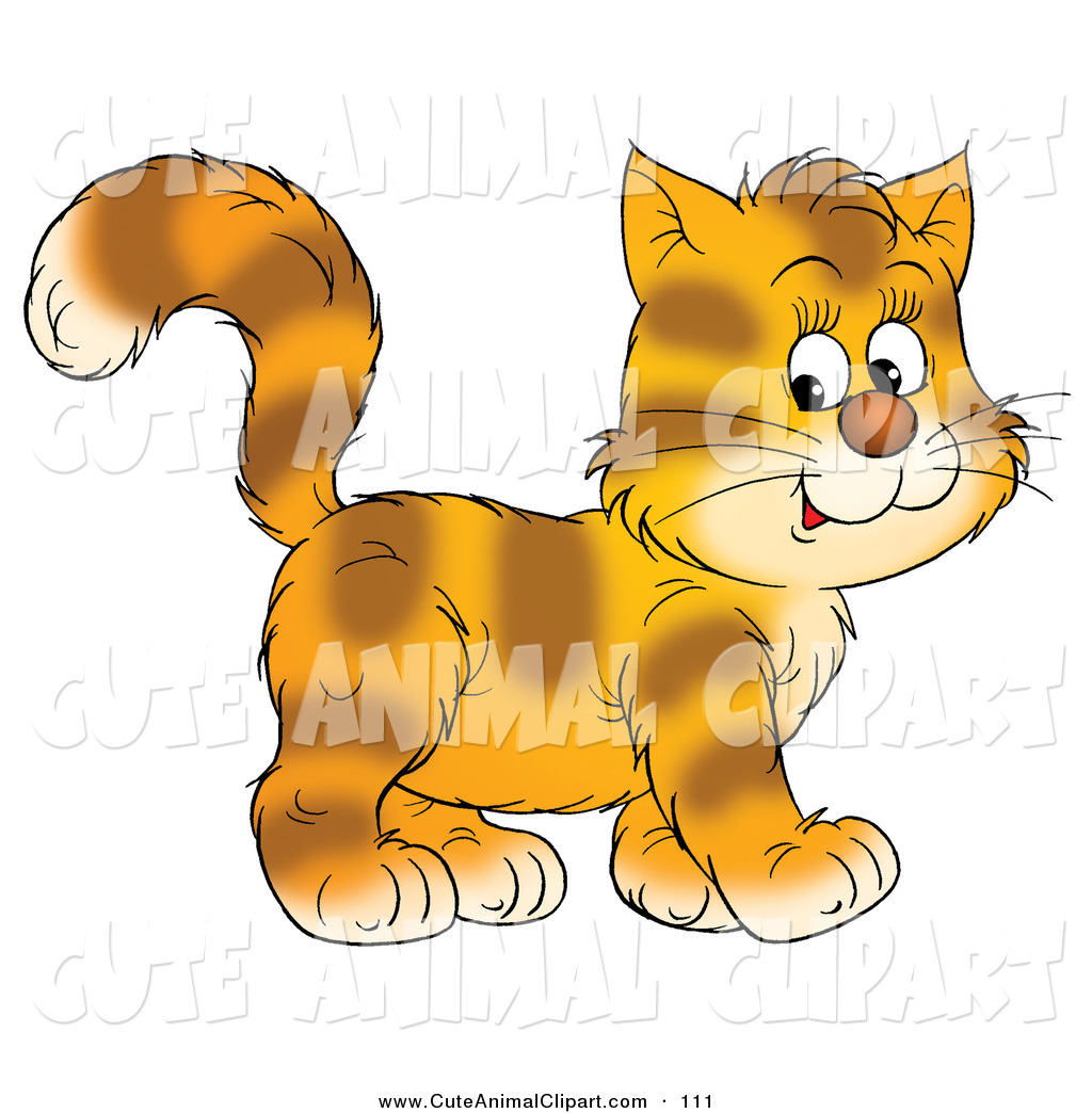 And Happy Kitten With Stripes On Orange Fur Walking To The Right