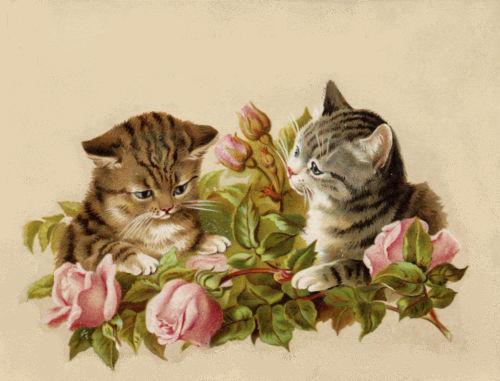Bumble Button  Very Cute Victorian Cat And Kitten Pictures  Free Clip