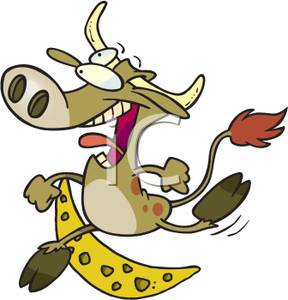 Cartoon Cow Jumping Over The Moon   Royalty Free Clipart Picture