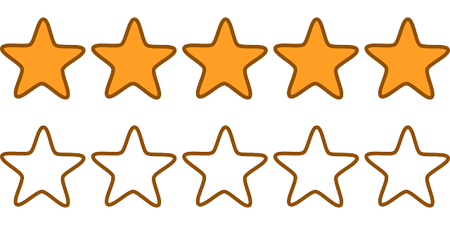 Fiverr Works And Offerings  Fiverr 5 Star Rating System Review  The