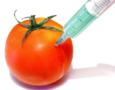 Gmo Is A Term Used To Describe Foods That Are Genetically Modified