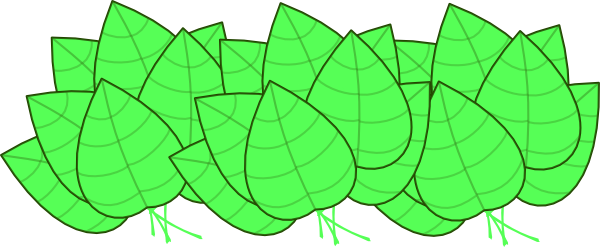 Jungle Leaves Clip Art At Clker Com   Vector Clip Art Online Royalty    