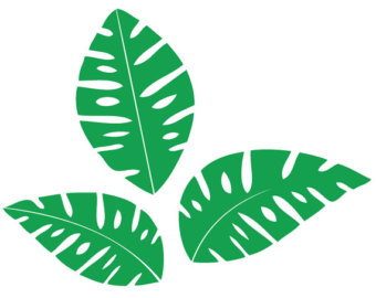 Jungle Leaves Clip Art   Cliparts Co