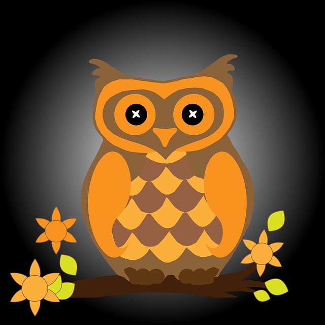 Owl Bird Halloween Clipart Animal Orange Black