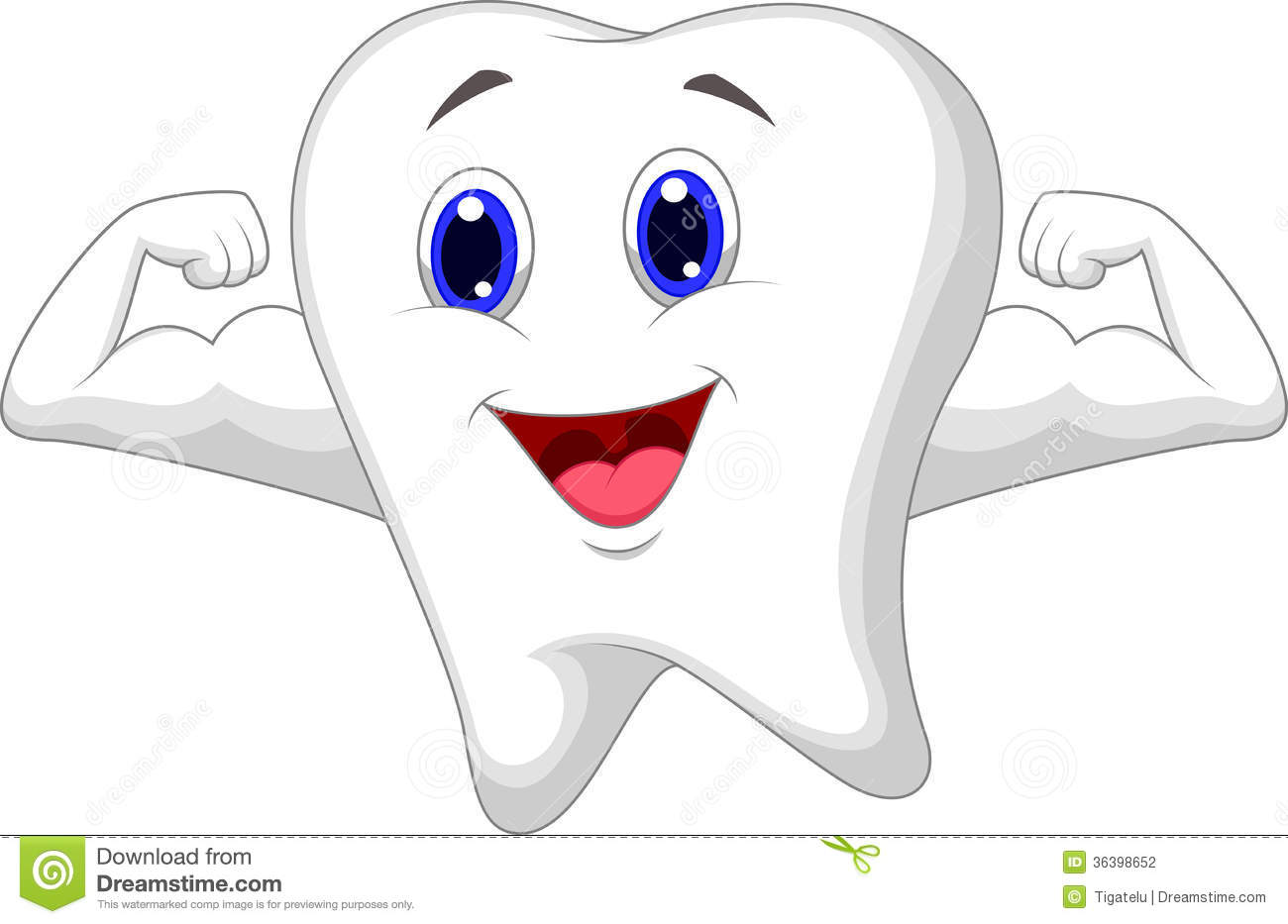 Strong Tooth Cartoon Stock Photography   Image  36398652