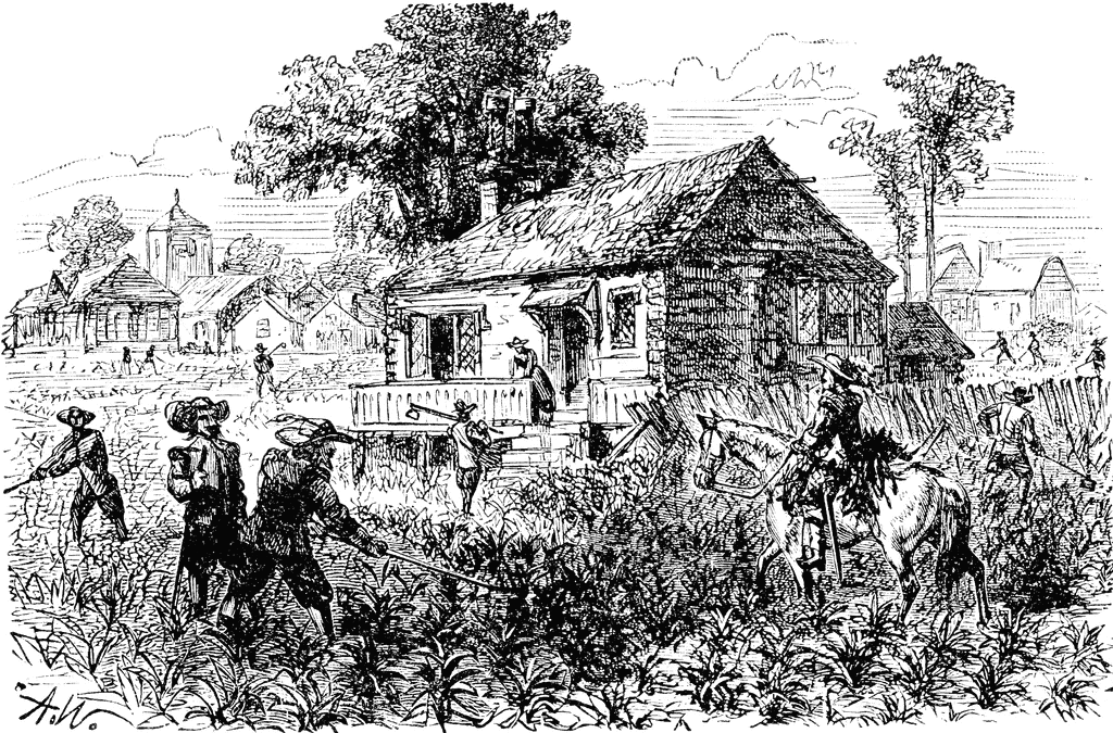 Tobacco Cultivation In Colonial Virginia   Clipart Etc