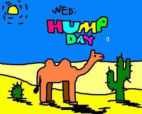 26 Happy Hump Day Clip Art   Free Cliparts That You Can Download To