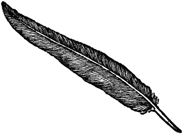 Clipart Feather