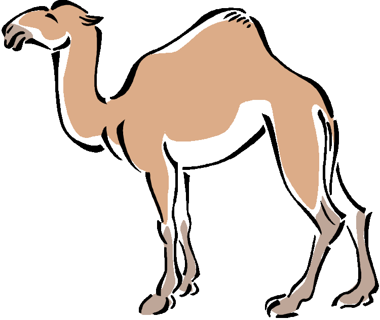 Geico Camel Hump Day Clipart   Cliparthut   Free Clipart