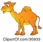 Hump Day Camel Clip Art Happy Arabian Camel With One