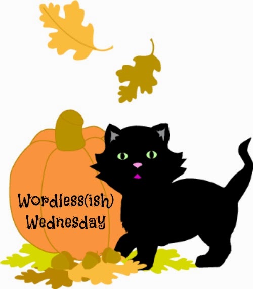 Hump Day Free Today Is And Clipart