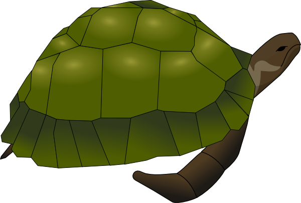 Turtle Clip Art  Png And Svg