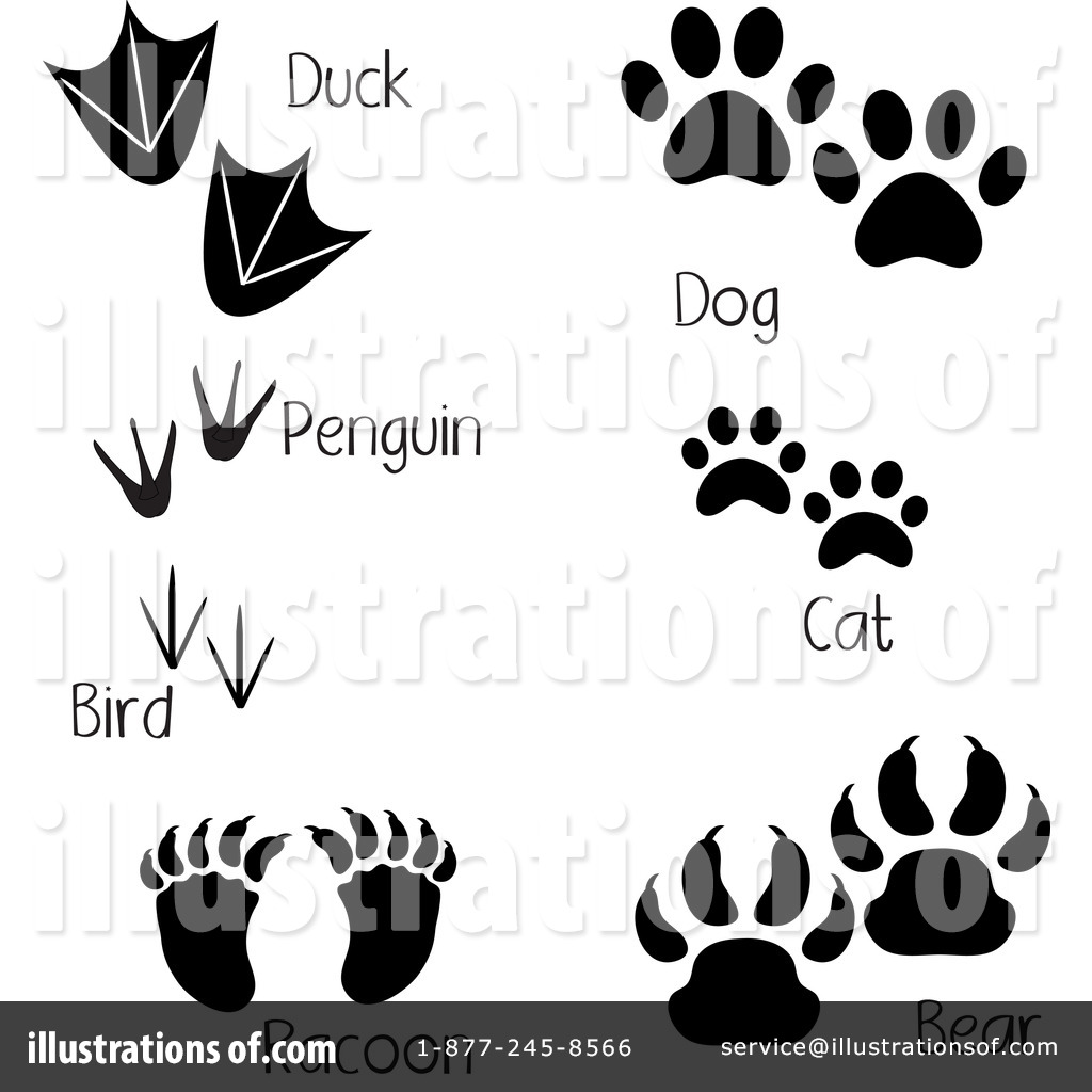 Free  Rf  Animal Tracks Clipart Illustration  218335 By Pams Clipart