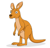 Kangaroo Clipart And Graphics