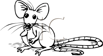 Royalty Free Mouse Clip Art Rodent Clipart