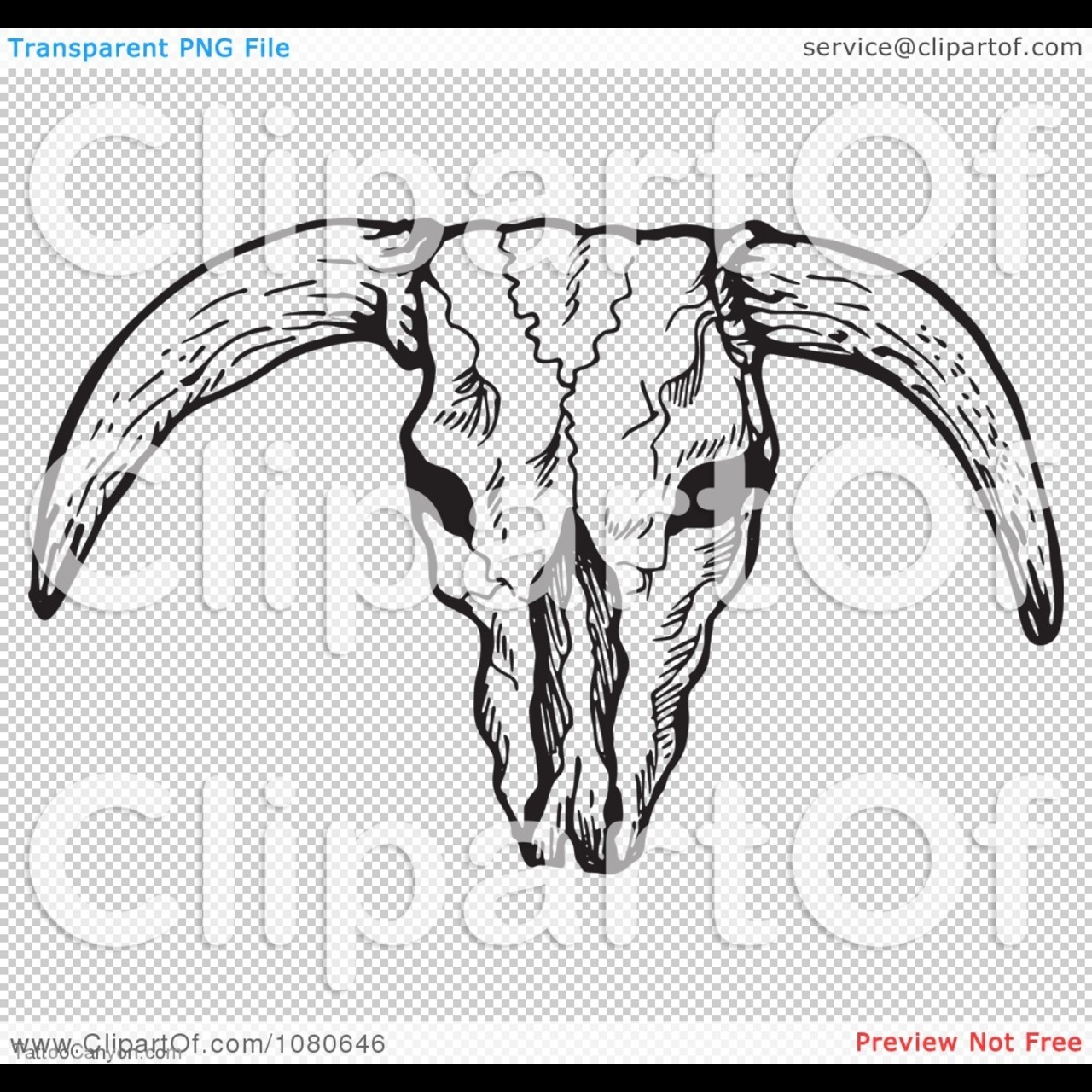 1622 Clipart Black And White Bull Skull With Horns Royalty Free Vector    