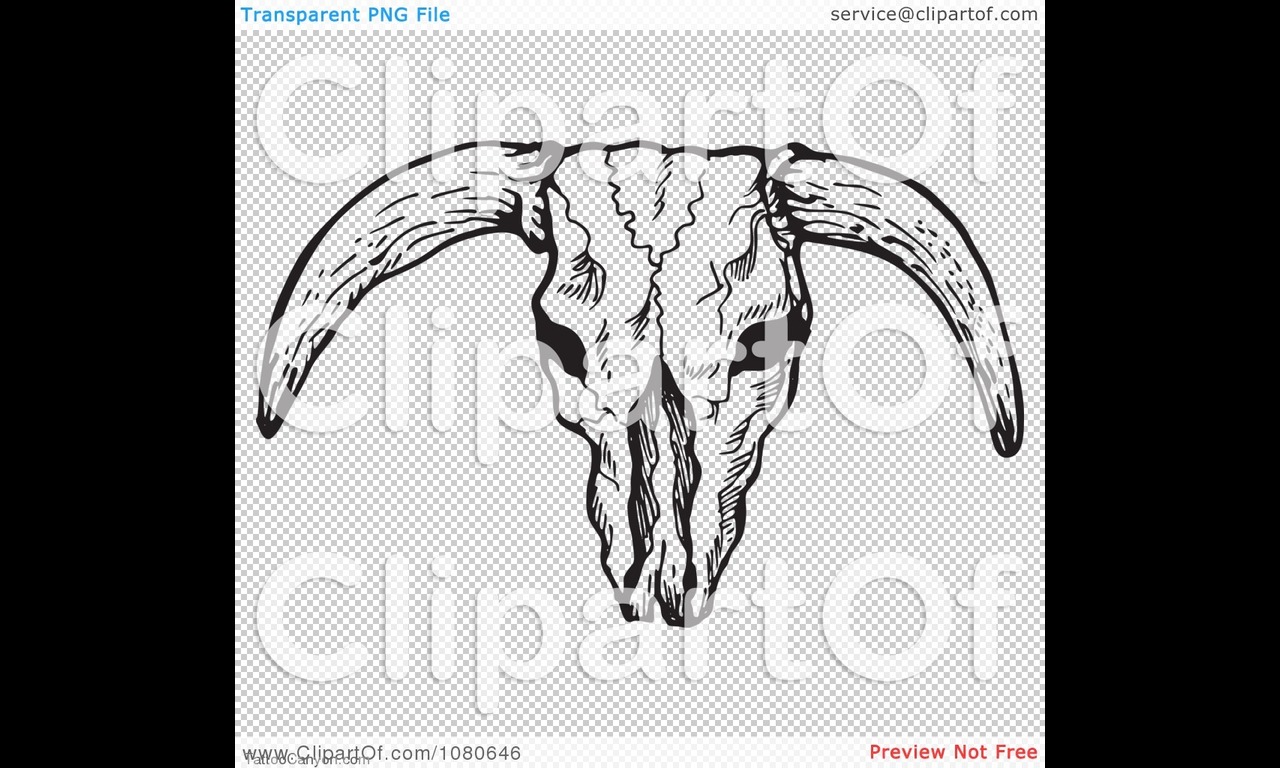 1622 Clipart Black And White Bull Skull With Horns Royalty Free Vector