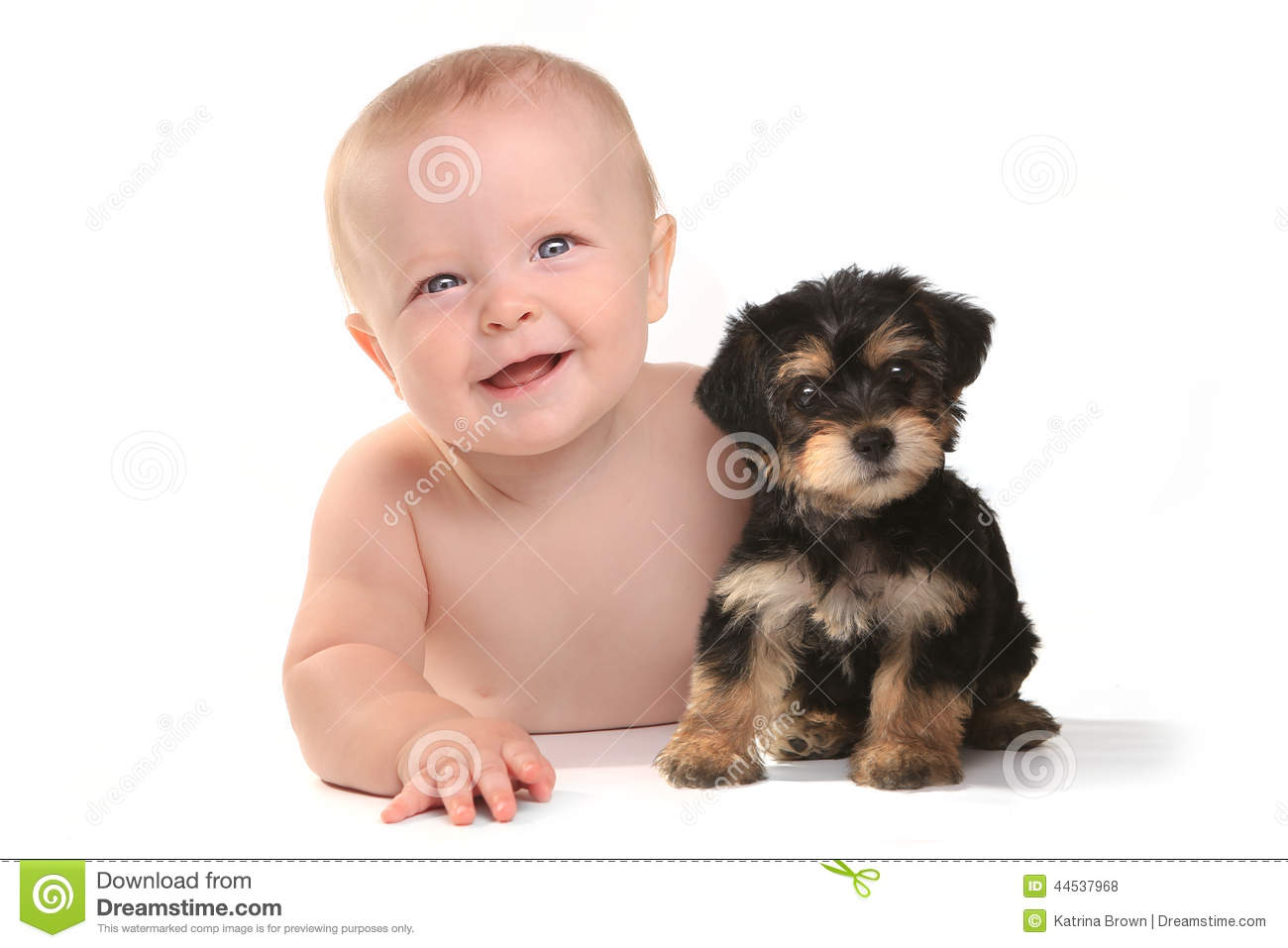 Adorable Baby Boy With His Pet Teacup Yorkie Puppy Stock Photo   Image