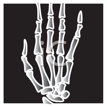 Cartoon X Ray Of A Hand   Royalty Free Clip Art Picture