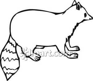 Fat Black And White Raccoon   Royalty Free Clipart Picture