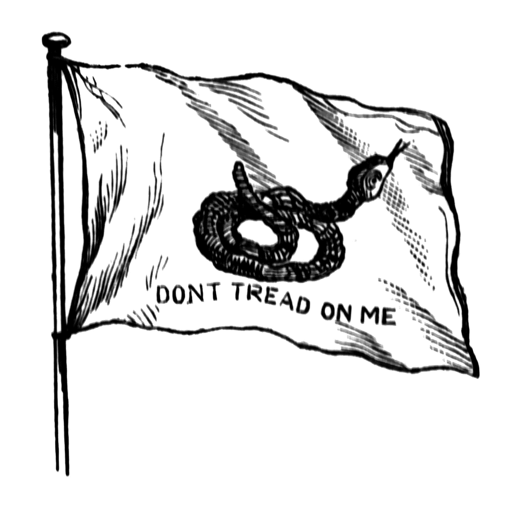 Pin South Carolina Flag On Pinterest