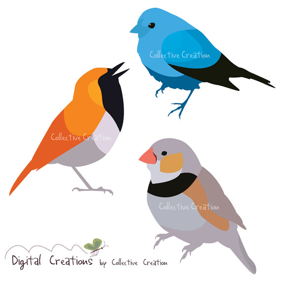 Simple Bird Shapes Digital Clip Art Set   Personal And Commercial Use