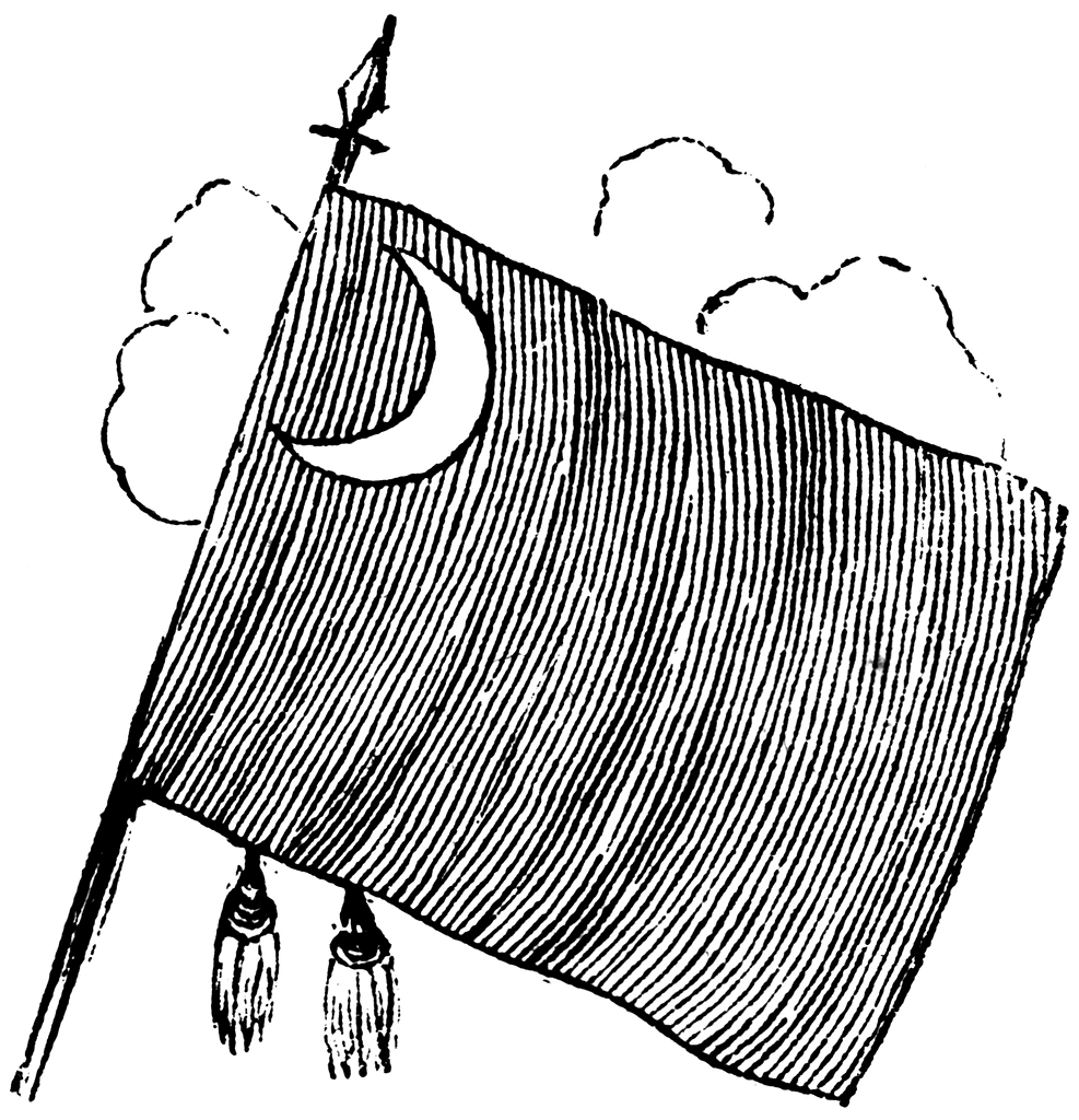 South Carolina Flag   Clipart Etc