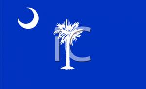 South Carolina State Flag   Royalty Free Clipart Picture