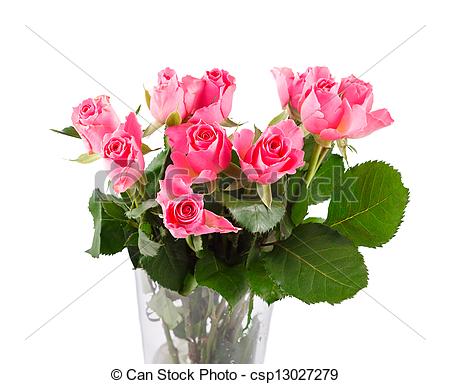 Stock Photo   Bouquet Of Pink Roses In Vase   Stock Image Images