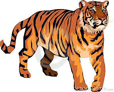 Angry Tiger Clipart   Cliparthut   Free Clipart