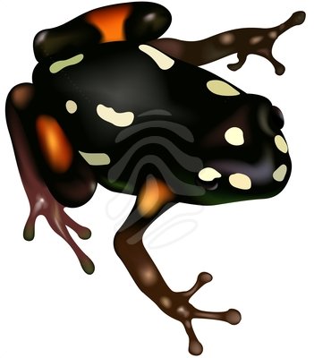 Clip Art Frog Clipart