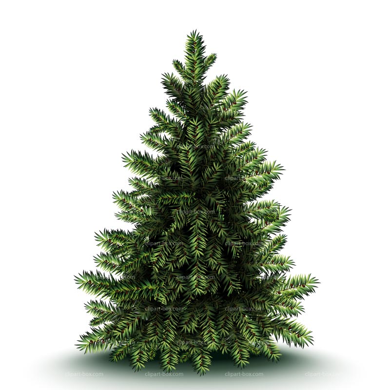 Clipart Christmas Pine Tree   Royalty Free Vector Design