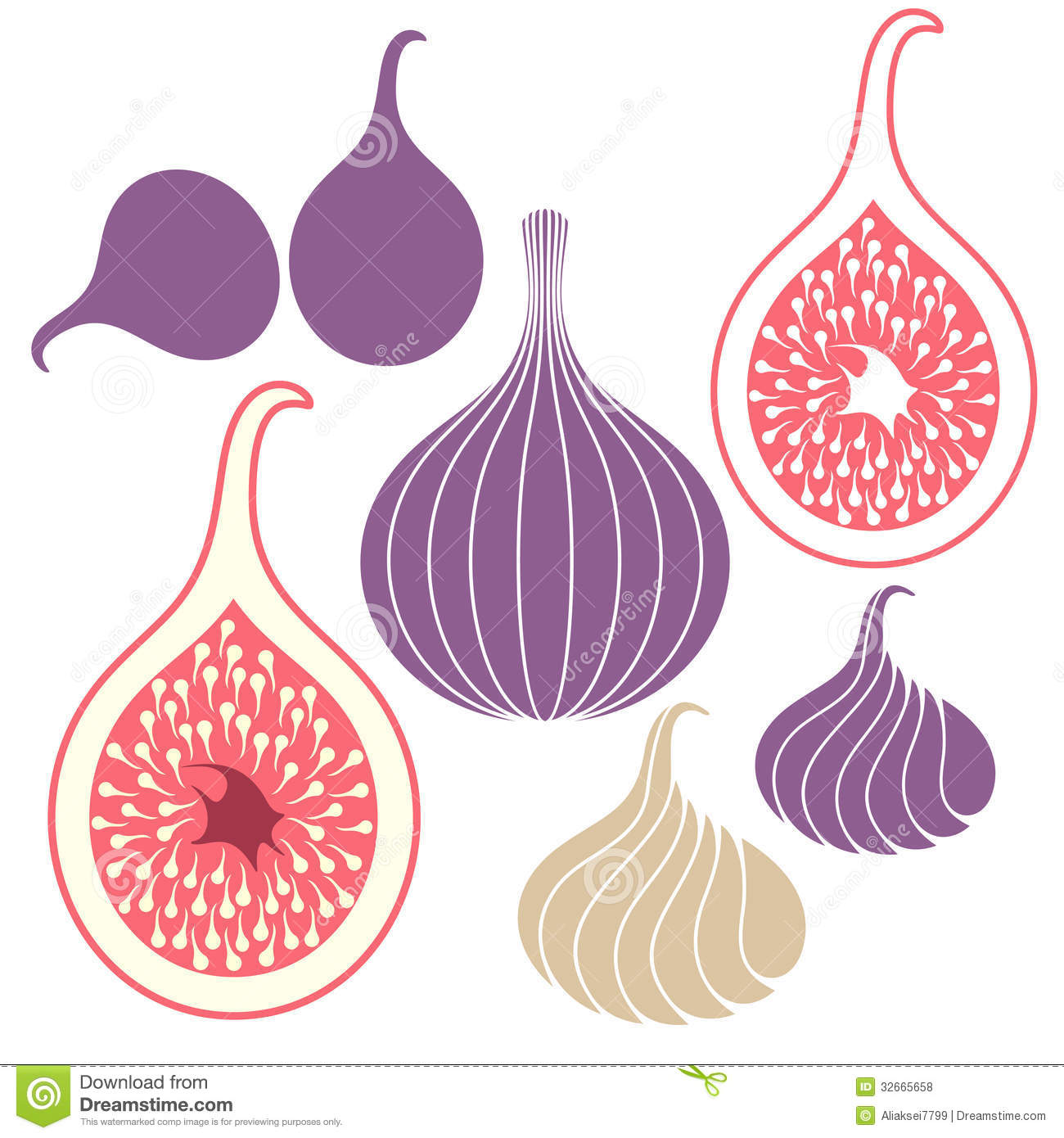 Fig  Set  Isolated Objects On White Background  Vector Illustration