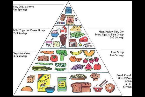 Image Of Food Guide Pyramid