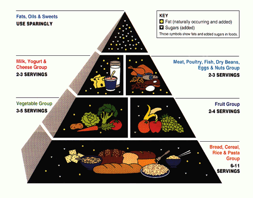 Nutrition   How The Body Uses Food   Nutrients  The Right Diet