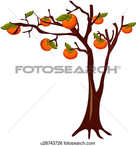 Of Tree Fruit Plants Plant Plant Life U28743726   Search Clipart