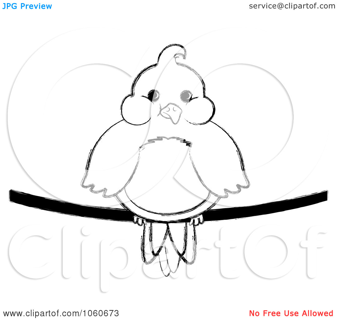 Pin Clipart Outlined Bird And Chicks In A Nest Royalty Free Vector On    