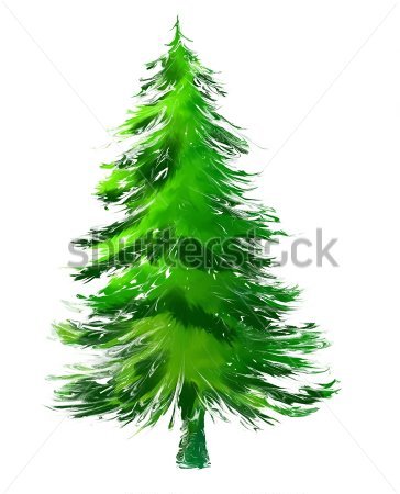 Pine Tree Or Christmas Tree Abstract 37113805 Jpg