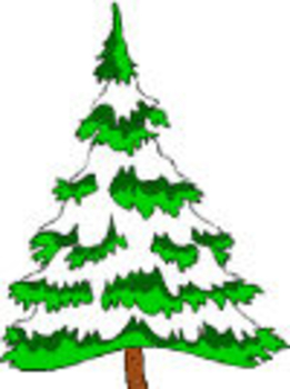 Snowy Pine Tree Clip Art Image