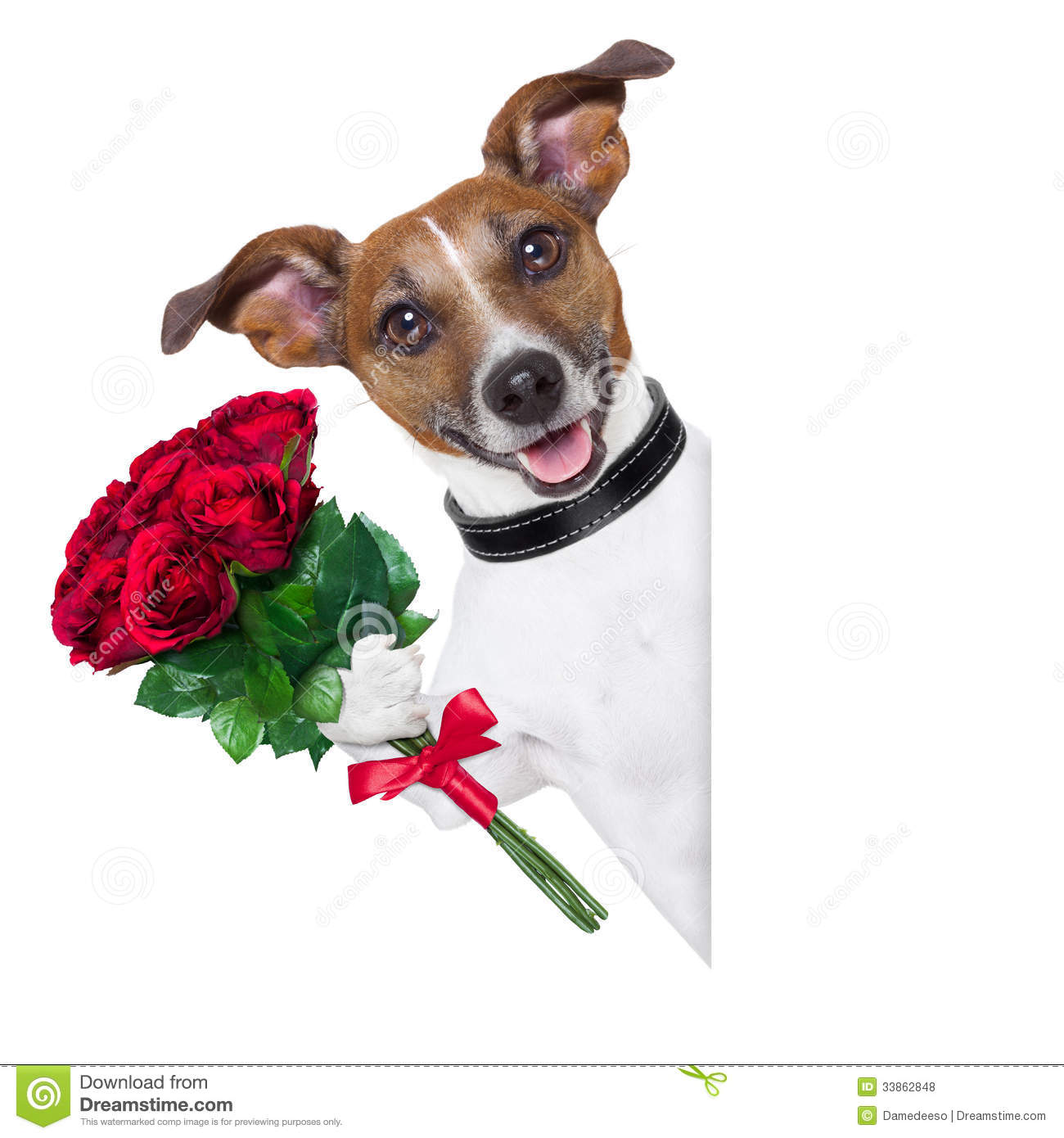 Valentine Dog With A Bunch Of Red Roses Beside A Blank Banner 