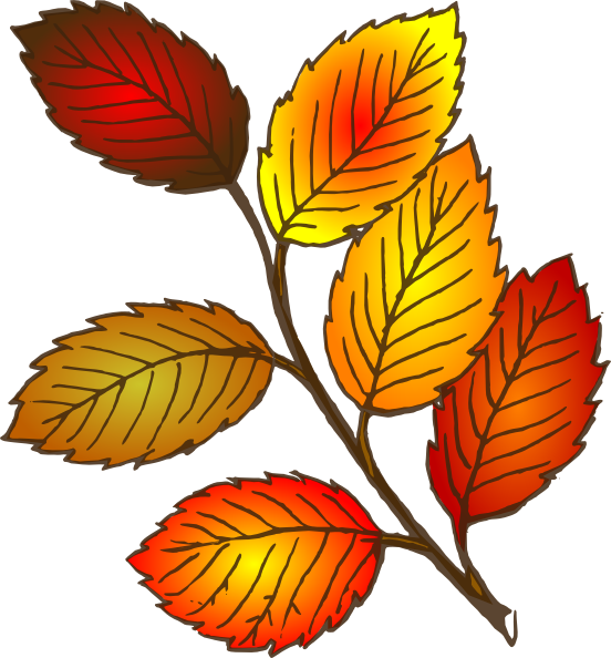 Autumn Leaf Clip Art At Clker Com   Vector Clip Art Online Royalty