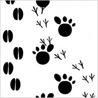 Footprint Clipart Black And White Footprints Clip Art
