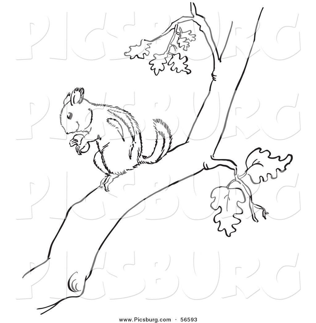 Black And White Tree Branch Clip Art