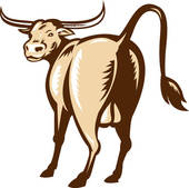 Cattle Clipart And Stock Illustrations  12 Texas Longhorn Steer Cattle