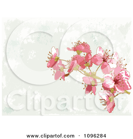 Clipart Background Of Pink Blossoms And Gray Grunge   Royalty Free    