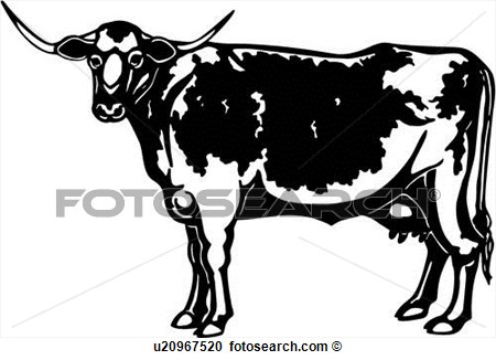 Clipart Of  Animal Breeds Bull Cattle Farm Livestock Longhorn